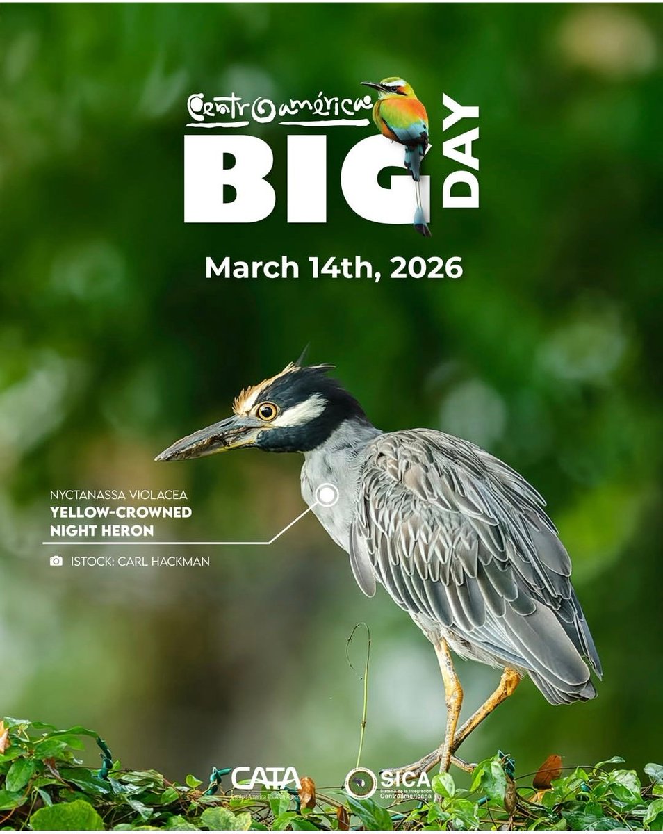 LatAmTravelist tweet media