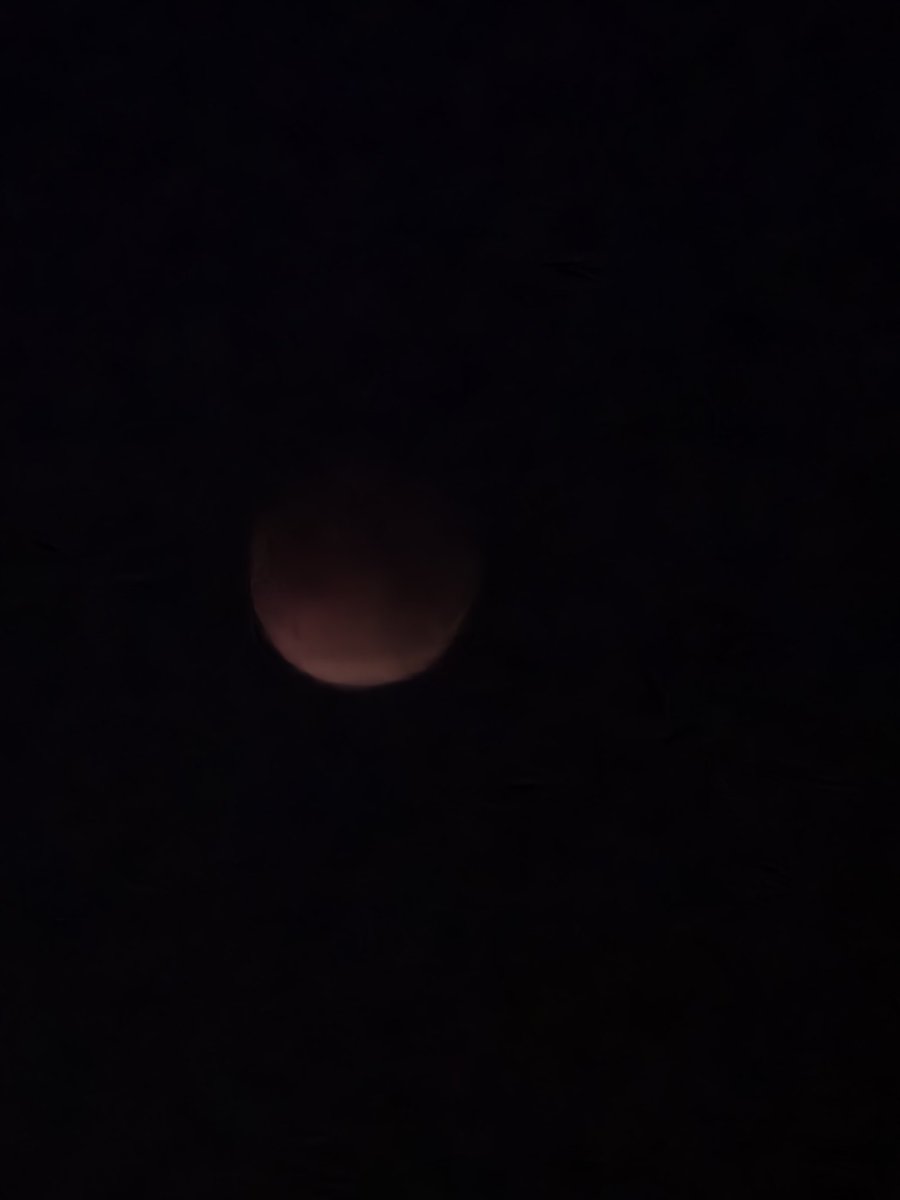 paccy70's tweet photo. @JoeRoseShow @DannyWQAM ..blood moon eclipse https://t.co/SK8aYYgEyo