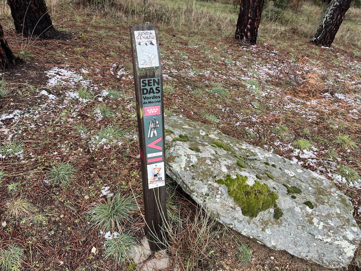 Sierra Norte de Madrid - SierraNorte.com tweet media