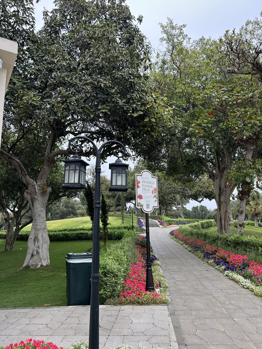 عُدي#53 tweet media