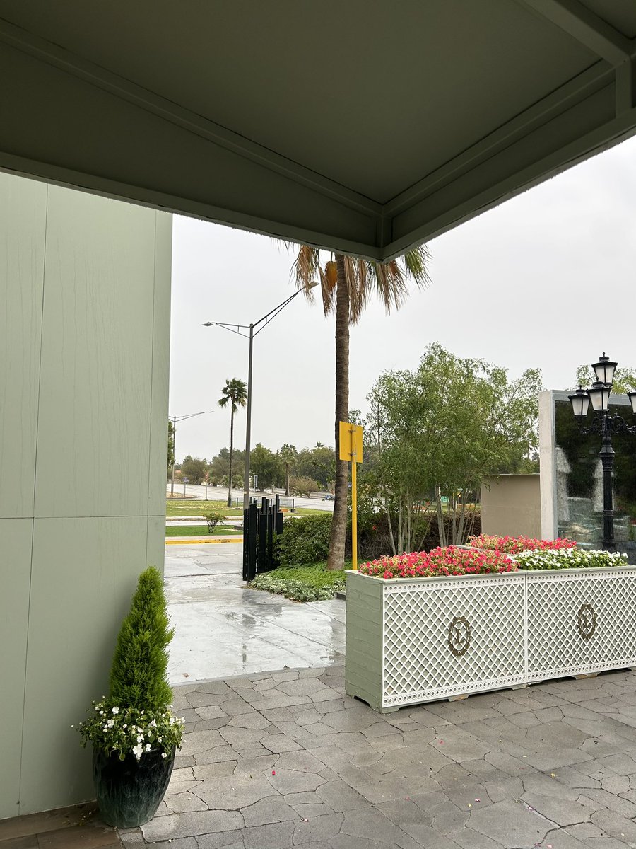 عُدي#53 tweet media