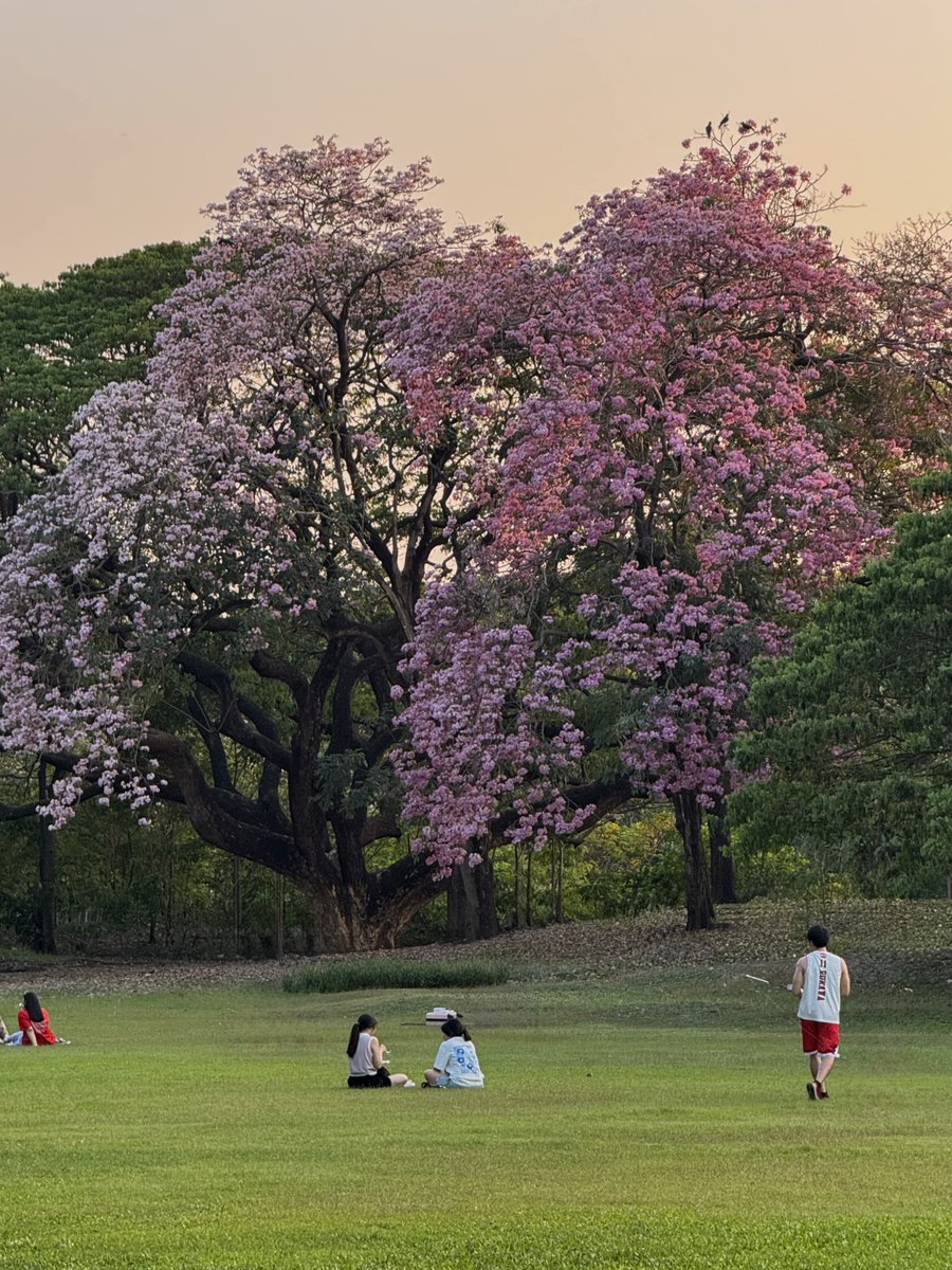 สวยแบบจะไม่ยอมเห็นสิ่งนี้คนเดียว ㅜㅡㅜ