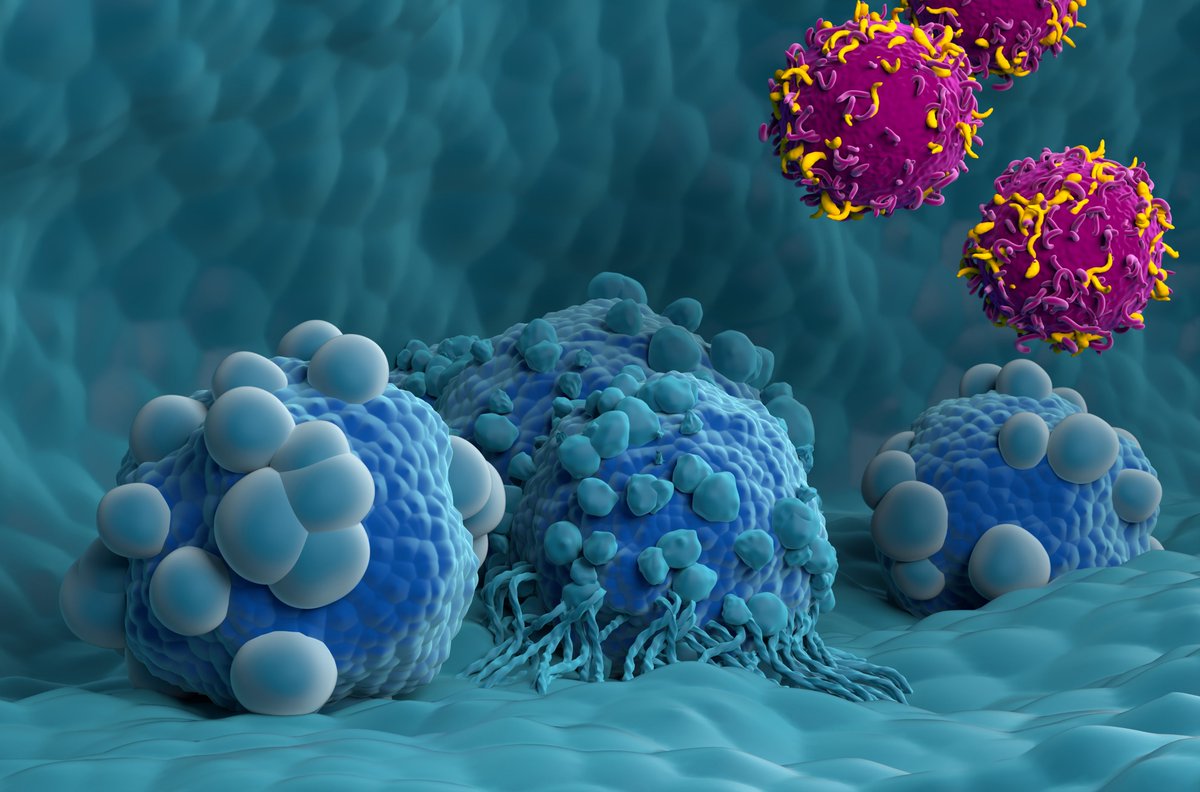 ICT Magazine tweet media