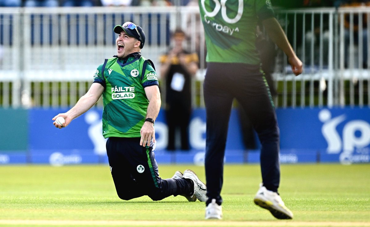 Nathan Johns tweet media