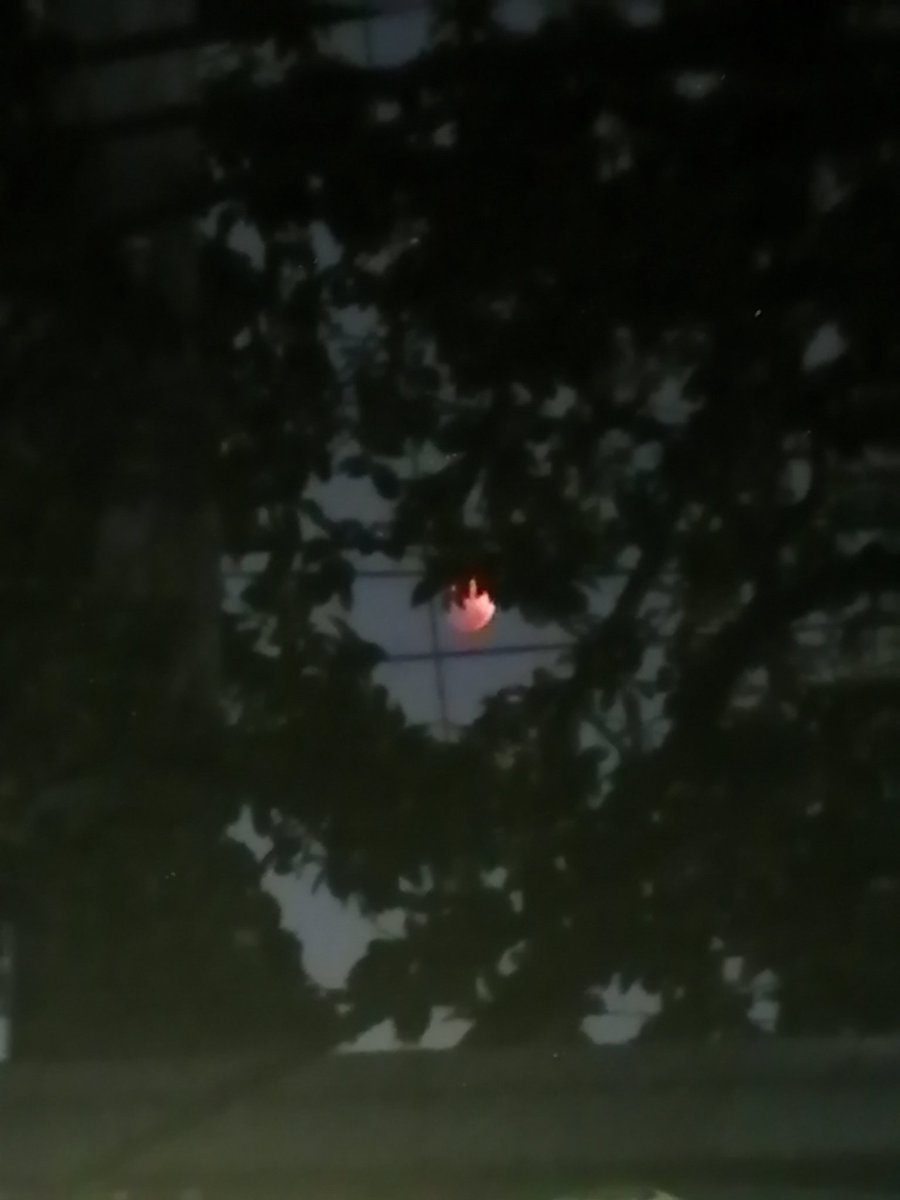 Kira_user | IDOLOID VIRTUACONCERT 2025 tweet media