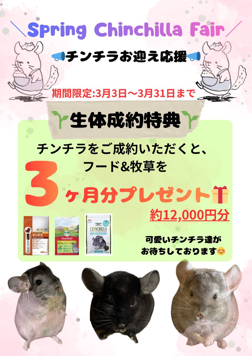 ぷちら 公式 (@petitlakousiki) / Posts / X