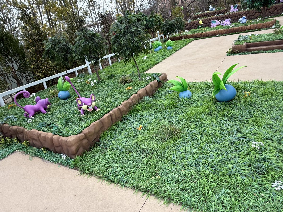 しゅんしゃんさぶ🍓 tweet media