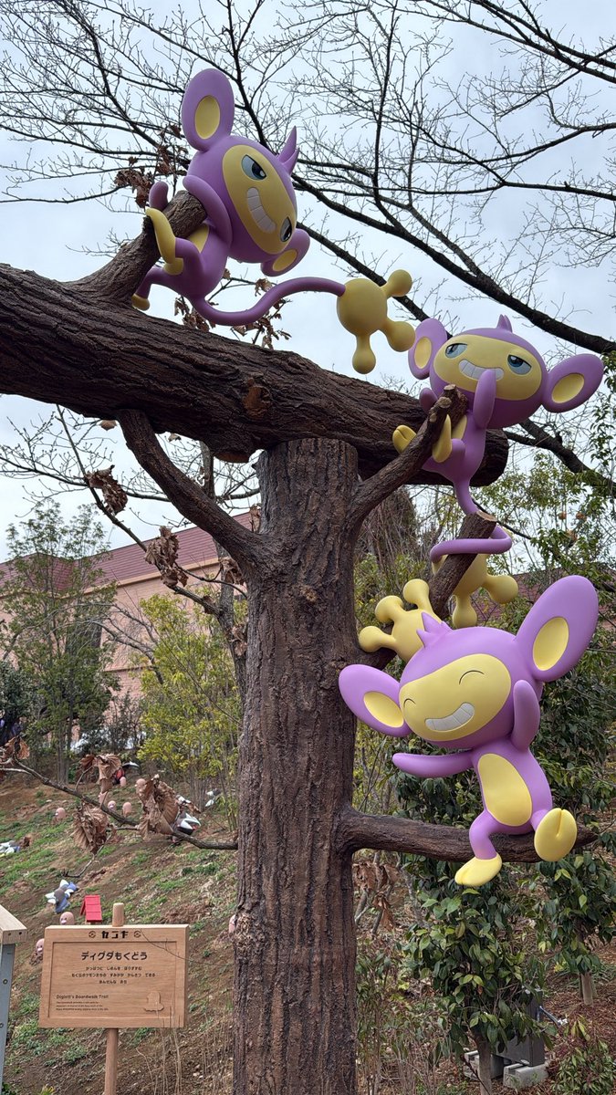 しゅんしゃんさぶ🍓 tweet media