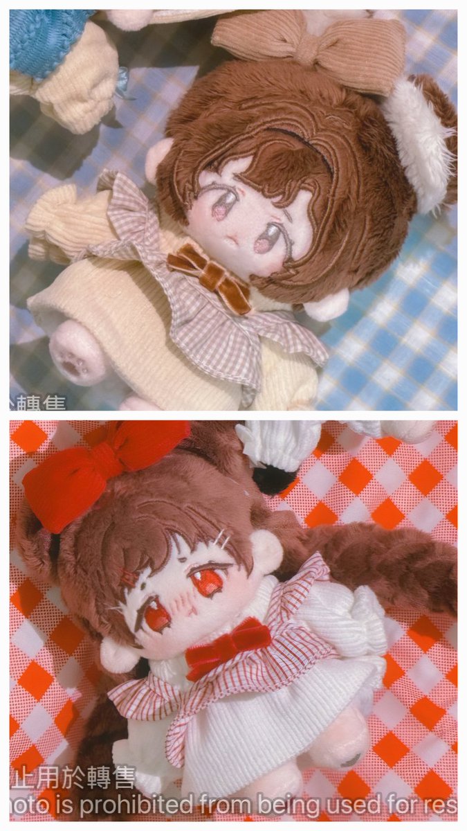 SLOW 침엽수 tweet media