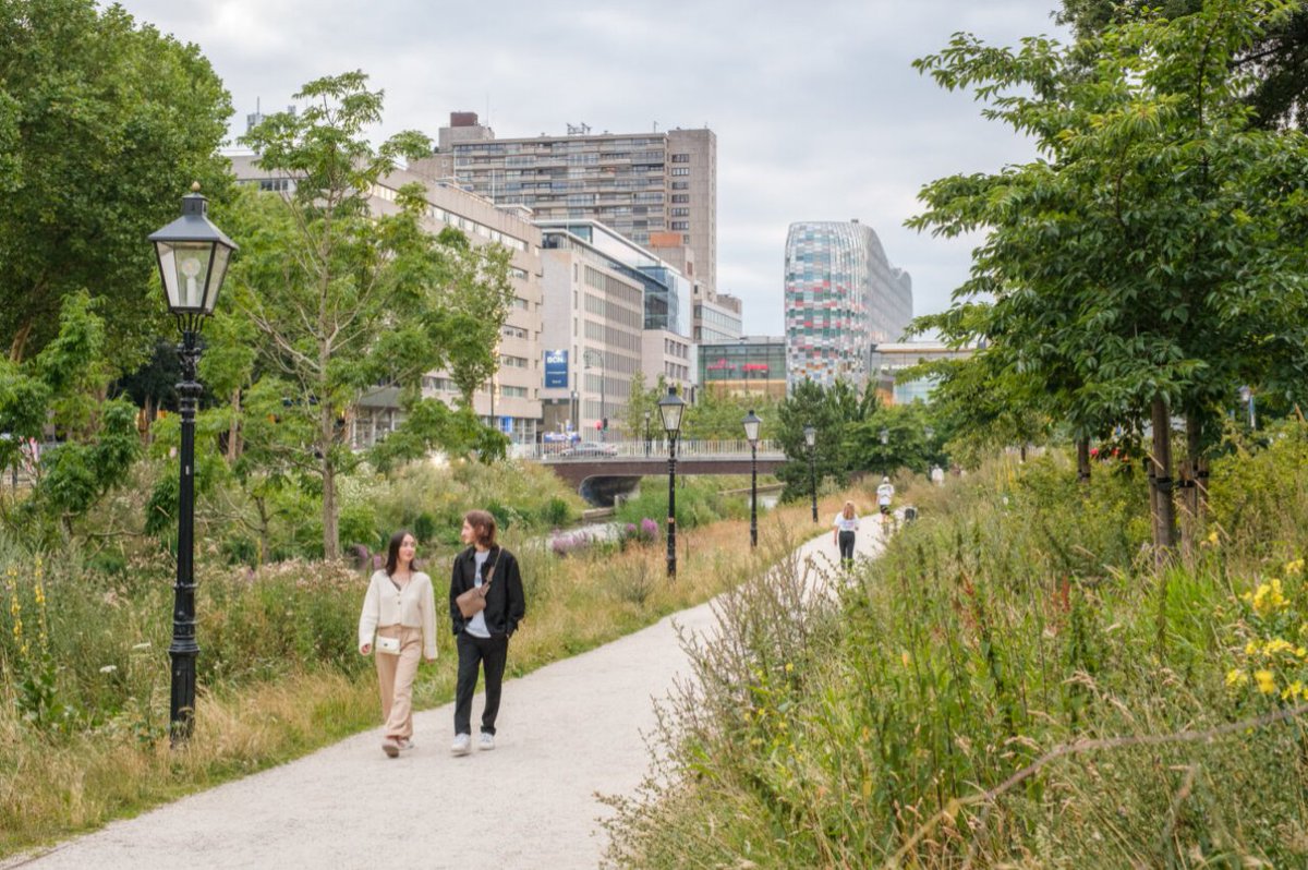 Wijkbureau Zuid tweet media