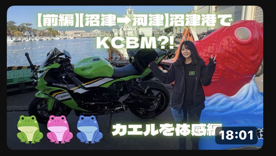 免活に!!高線量‼南砺ペグマタイト(66)