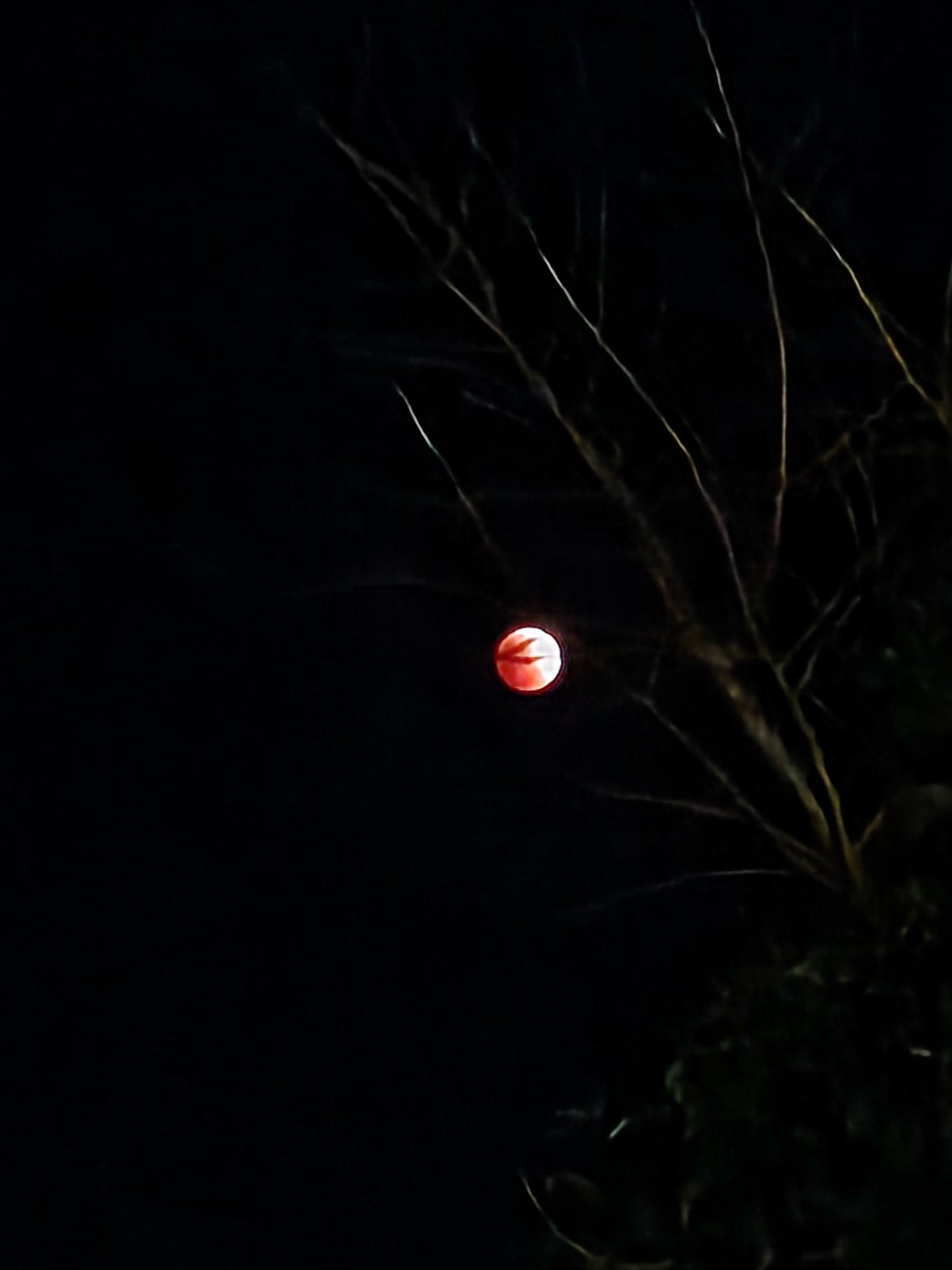 皆既月食☺️ #ミューエク