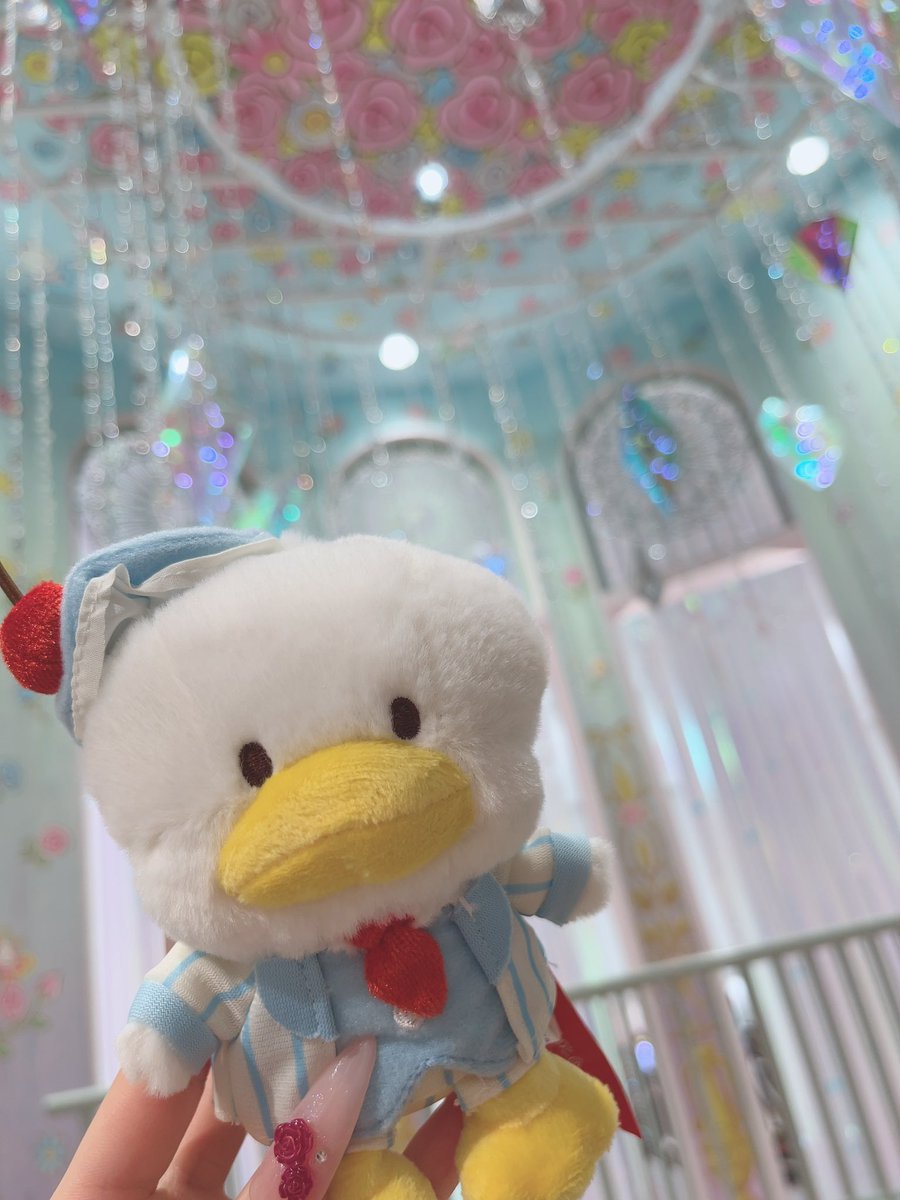 ひめち tweet media