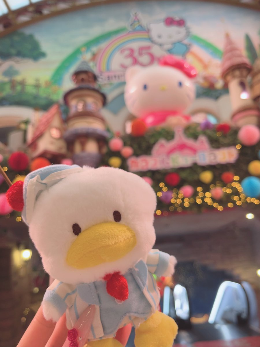 ひめち tweet media