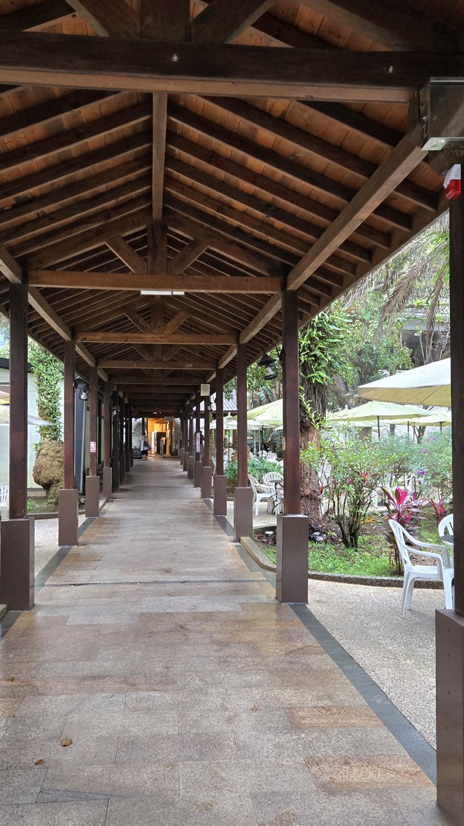明早再去主館泡湯，這也是很不方便的地方(住宿房內沒有溫泉浴池)。(完) 😅  圖二、溫泉魚 吃腳腳皮屑，圖三、夏天專用 兒童戲水池。