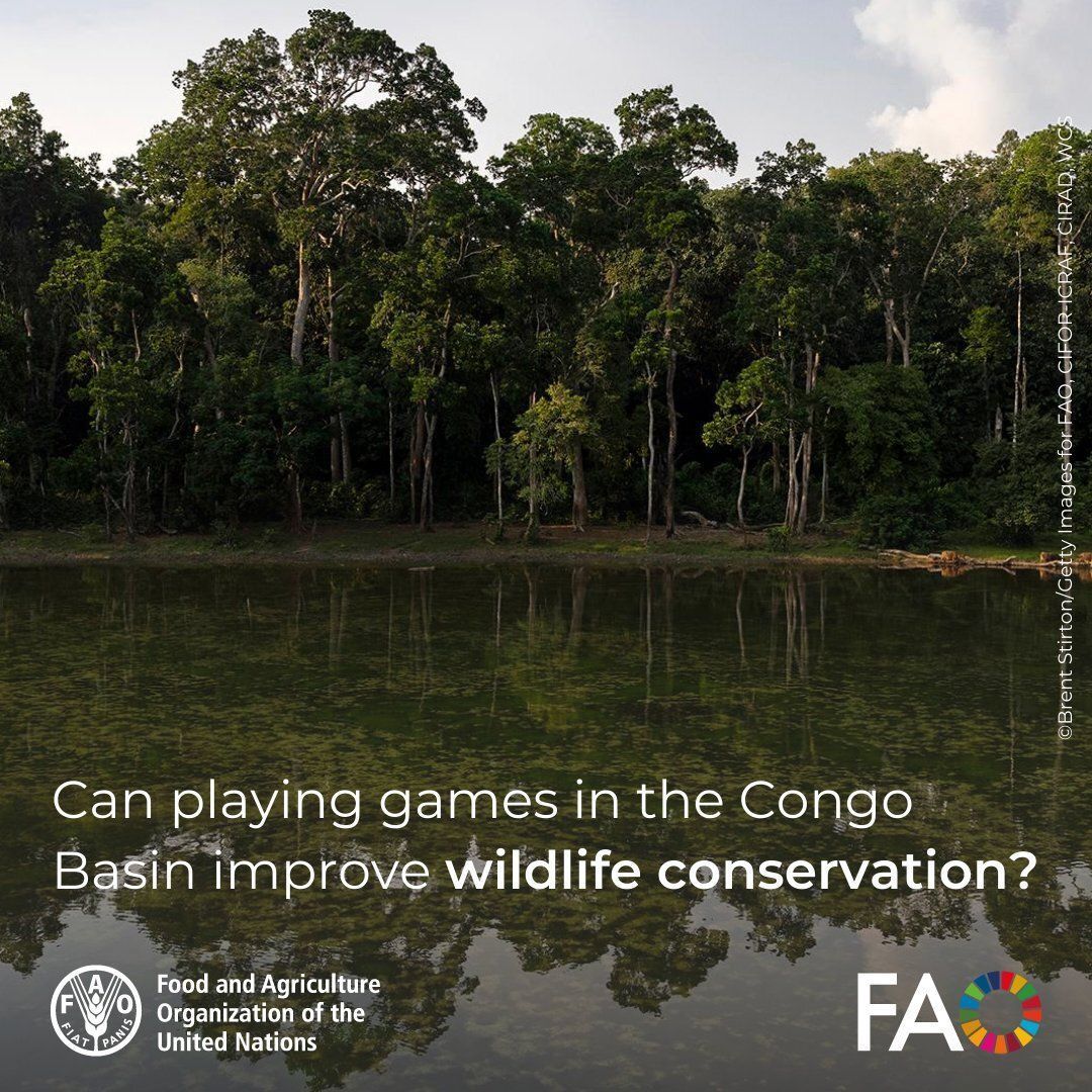 FAO Innovation tweet media