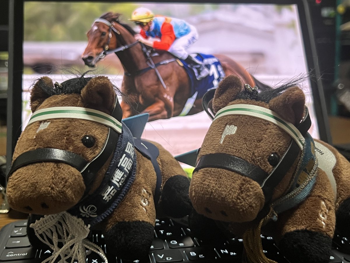 上げ直し)香港、飛行機ですぐだし行き方も難しくないから見に行こうぜ