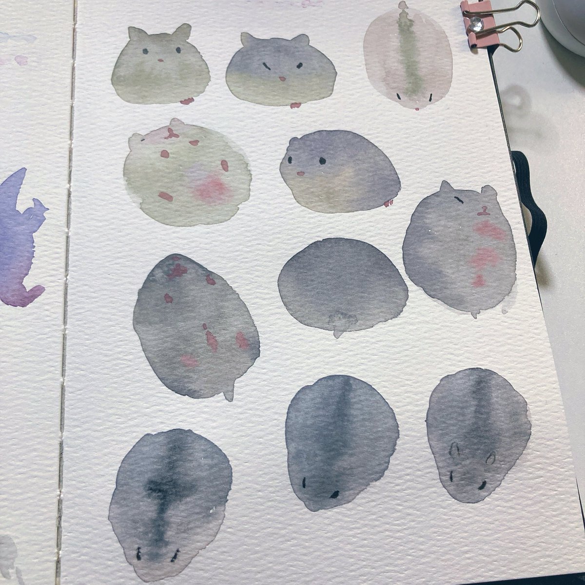 NORI STAR CREAM tweet media