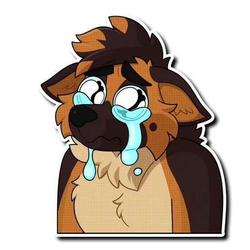 Cody Shepherd 🐾💗 tweet media