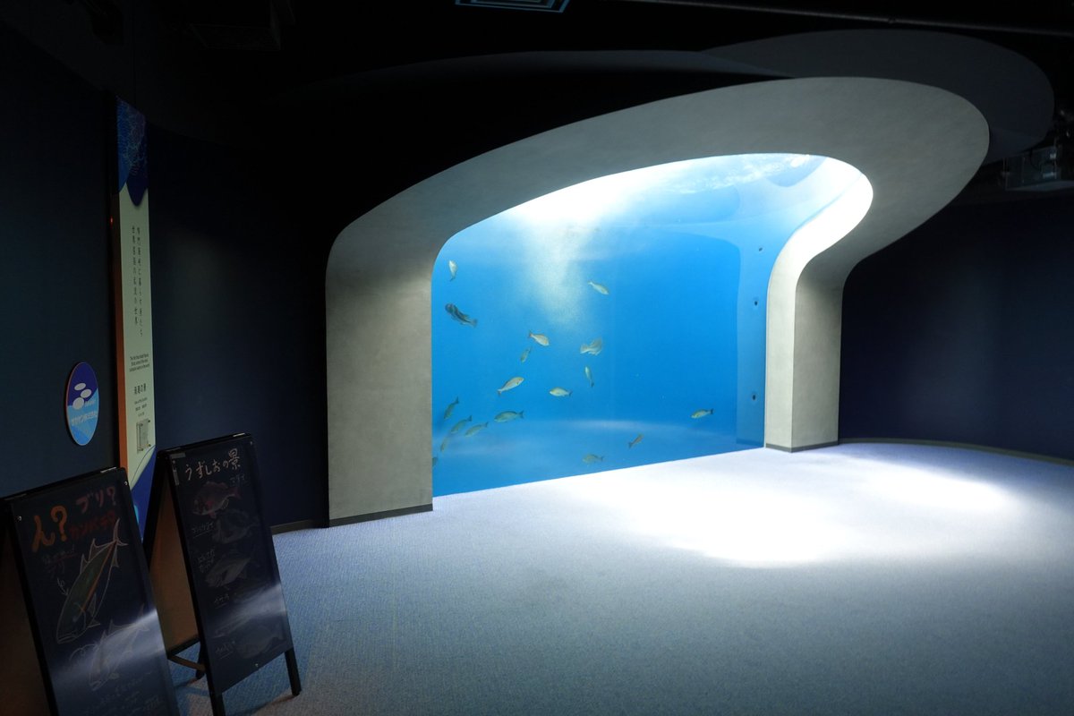 Unamekujiphoto's tweet photo. ココ好き水族館オーバーハング水槽〜 https://t.co/XsLL0647Ex