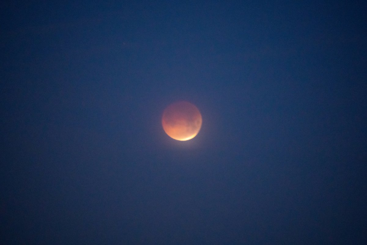 Eric Snitil tweet media