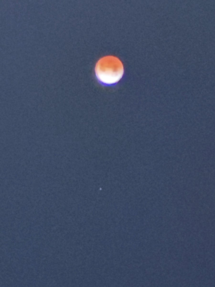 Peter Manzella tweet media