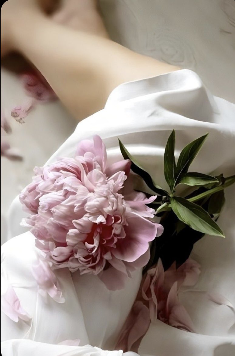 Eva🖌️🌹 tweet media