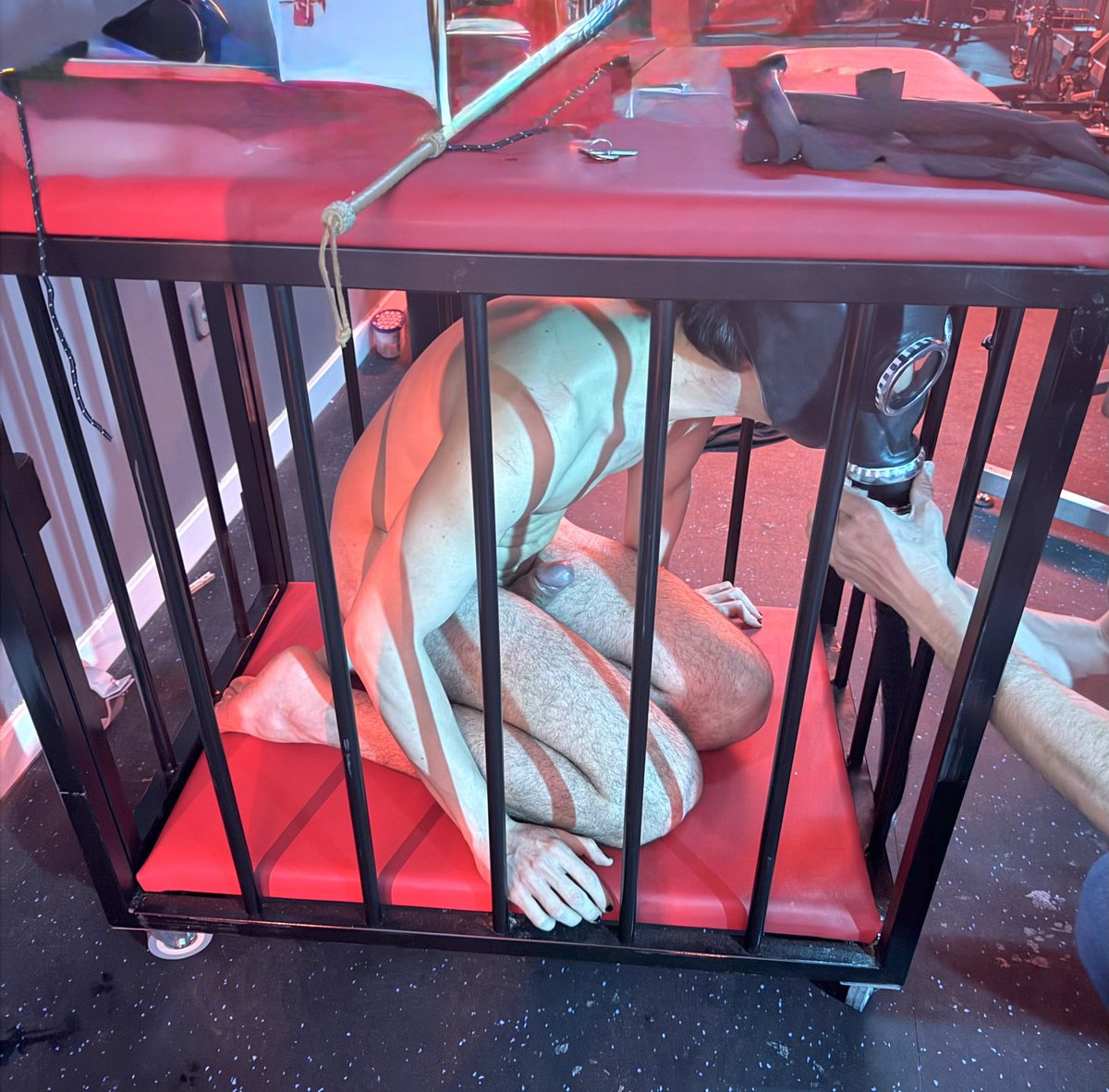 DosAmosMadrid tweet media