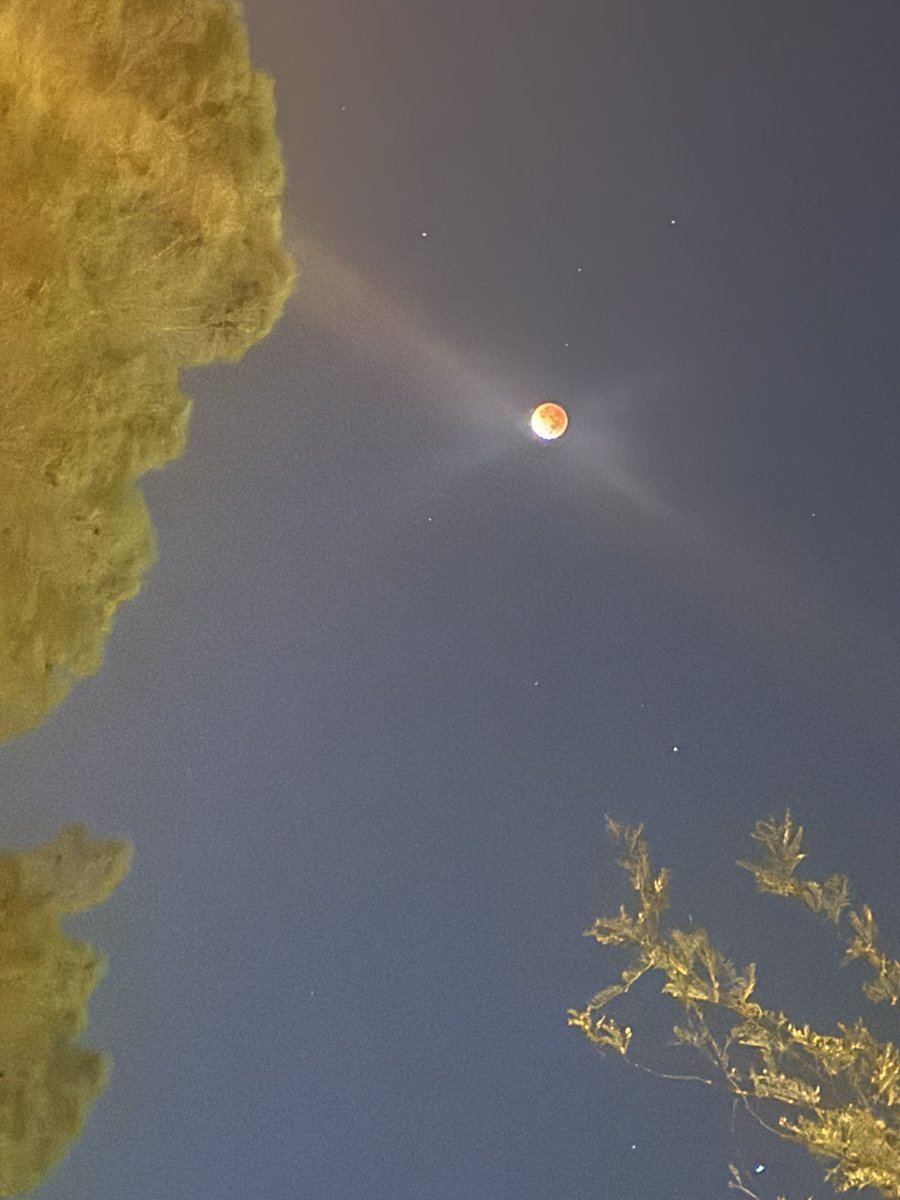 SierraSoPretty_'s tweet photo. The moon is exactly who she thinks
She is .✨😍 #FullTotalLunarEclipse #TheBloodMoon https://t.co/JITQgM7uBf
