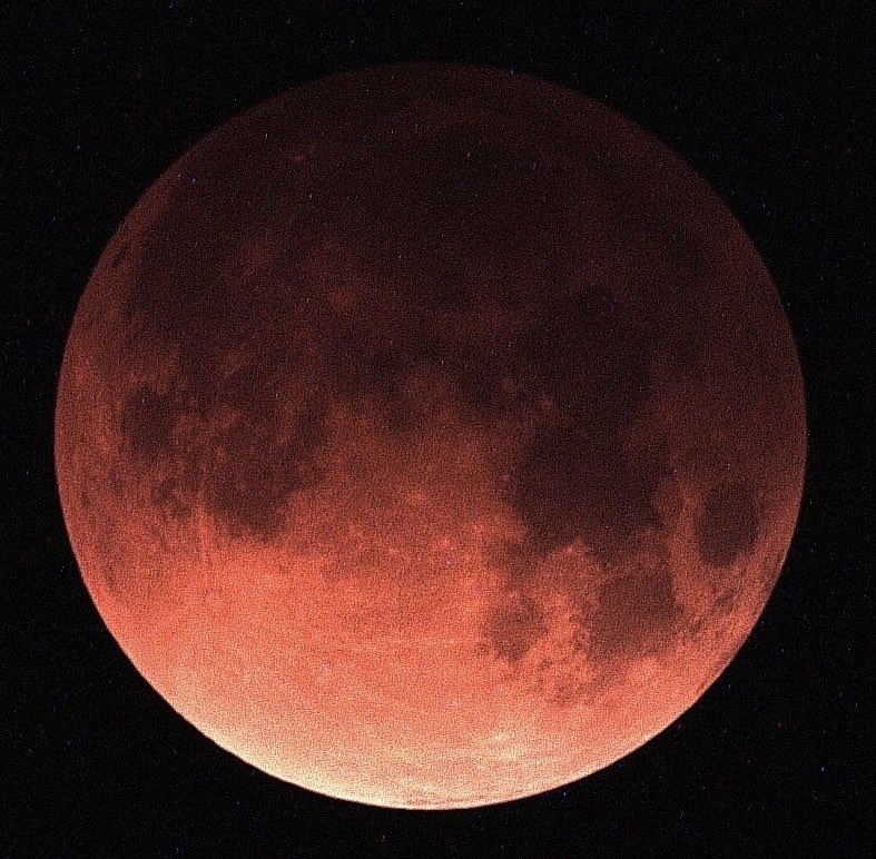 Daniel Harbin tweet media