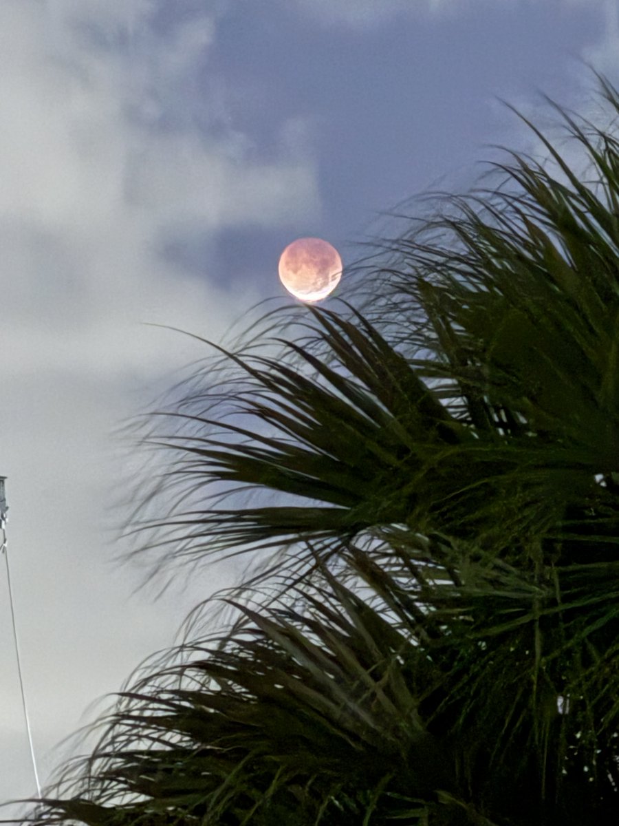 JohnCLeonard's tweet photo. Eclipse ~06:00AM 03-03-26 - WPB,
Florida https://t.co/4kVtUhBYMS