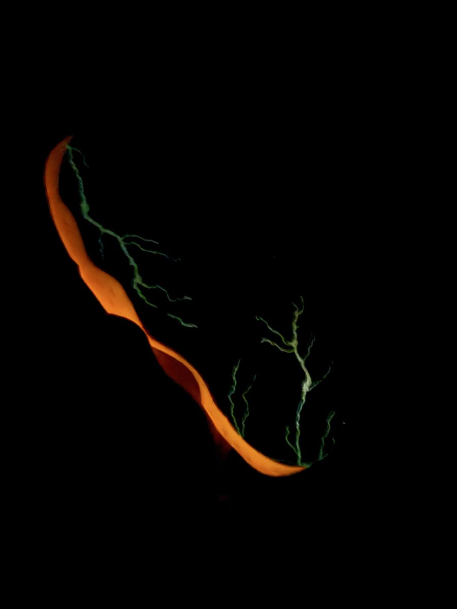 blvzingkicks's tweet photo. Here are detailed pictures of the Stranger Things x Nike Air Foamposite One “Vecna” ⚡️ https://t.co/qyQWJZEh80