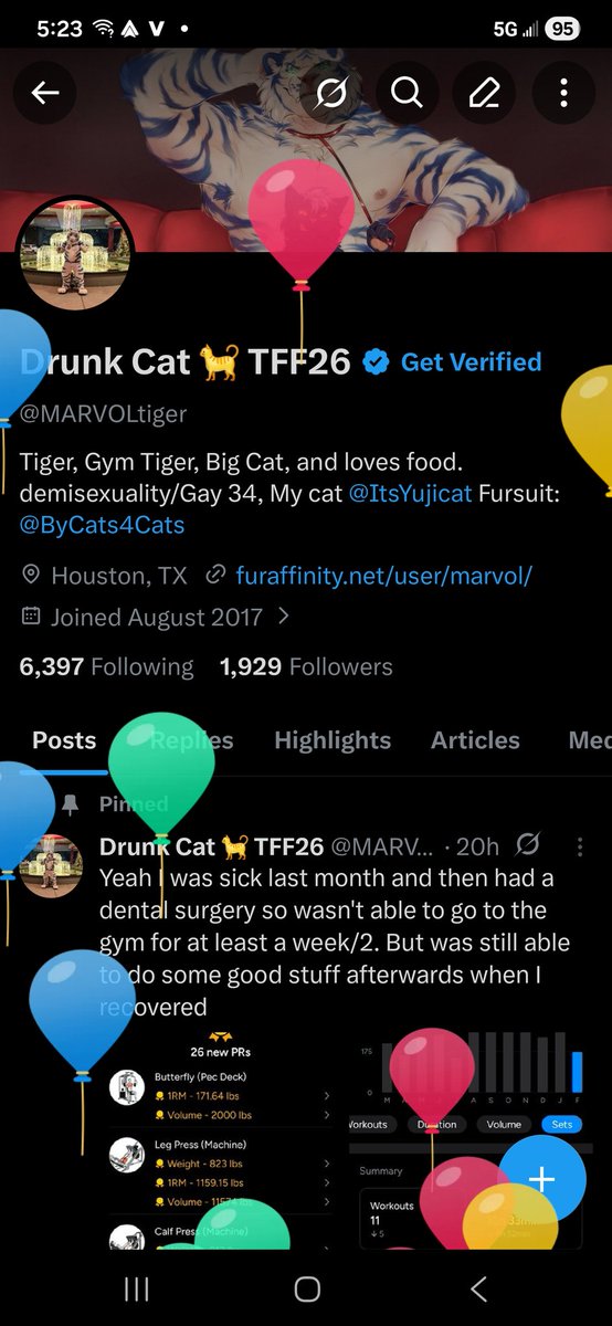 Drunk Cat 🐈 TFF26 tweet media