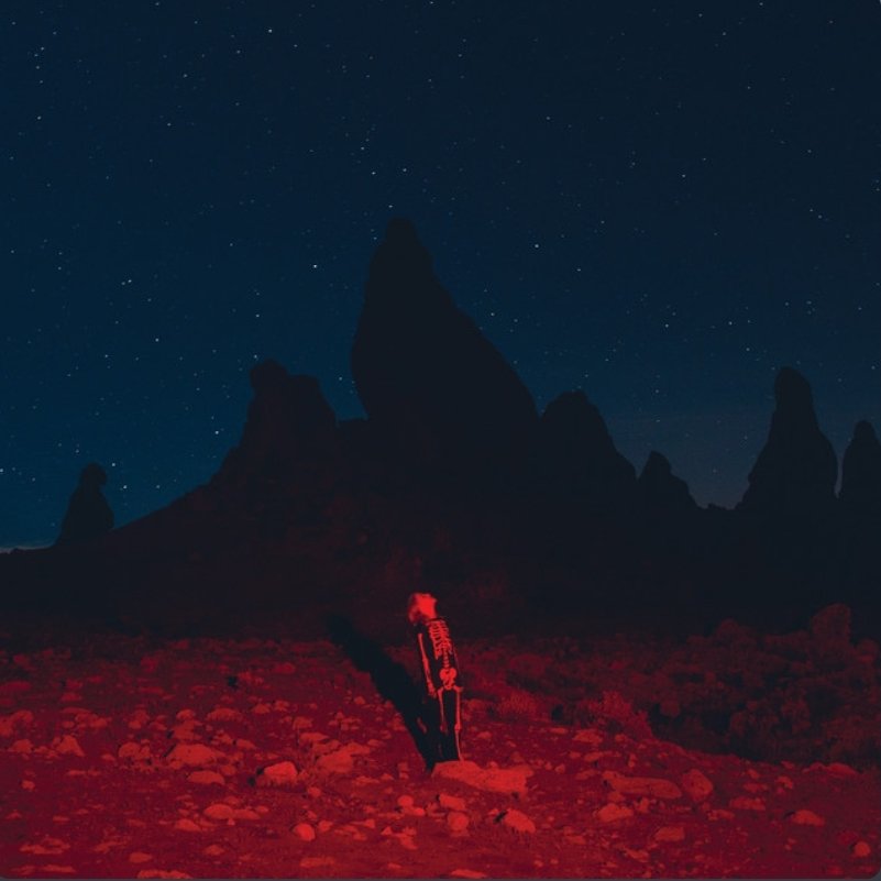 fizz 🐸 tweet media