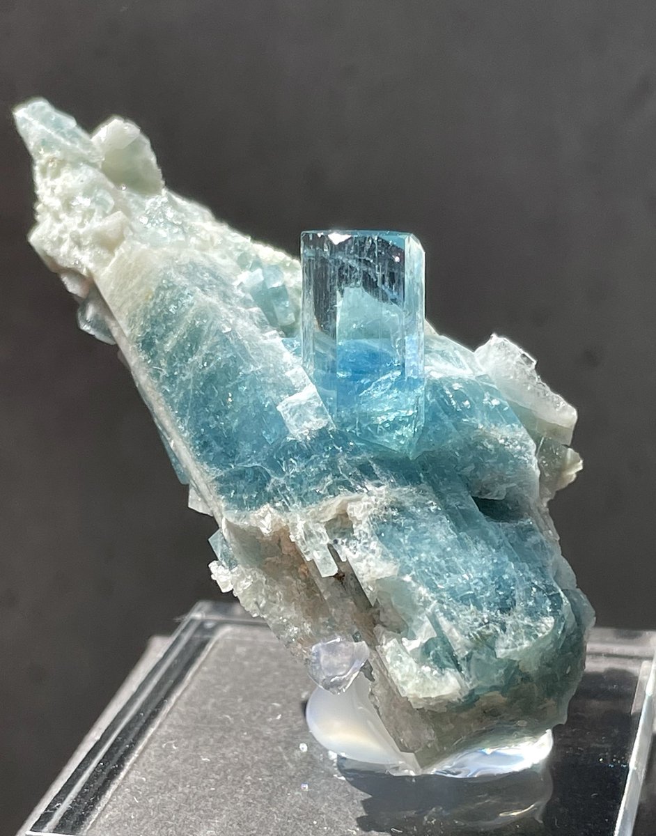 3月になったのでアクアマリン見せてください 何度かポストしている