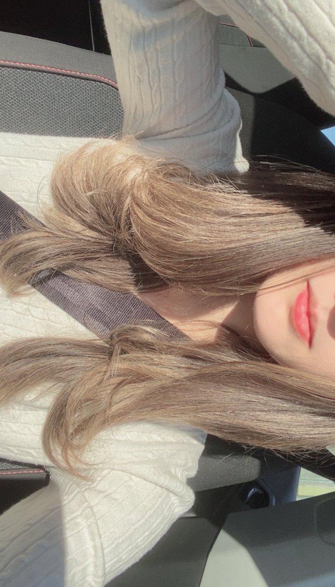 elly gatopostagem tweet media