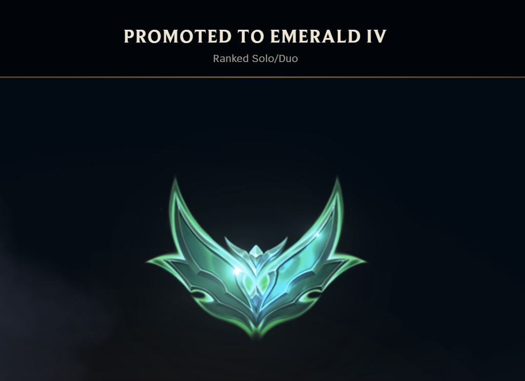 d0nut 🦀 tweet media