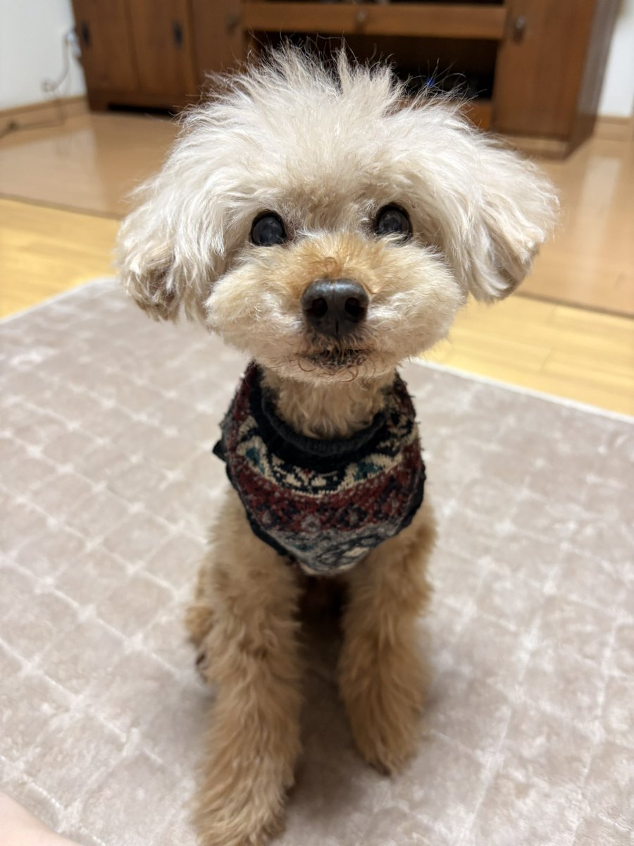 cu_pam2's tweet photo. 幸せ https://t.co/AKc1HyXHkV
