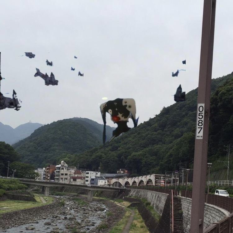 なんかいるんだけど逃げた方がいい？