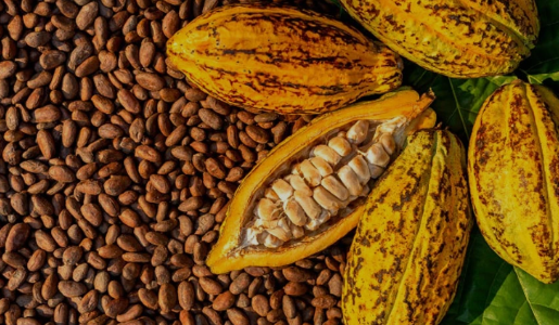 nareshbahrain's tweet photo. From excess to equilibrium 💝

COCOA has fallen a lot from 13000. 
As per #VirginPriceAction charts, 2500 - 2650 should be a high probability area for next upmove. #Cocoa #CocoaFutures #Commodities https://t.co/qJfbeMVhI4