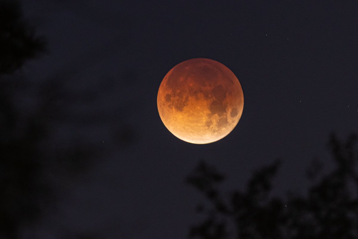 Gavin Richmond tweet media