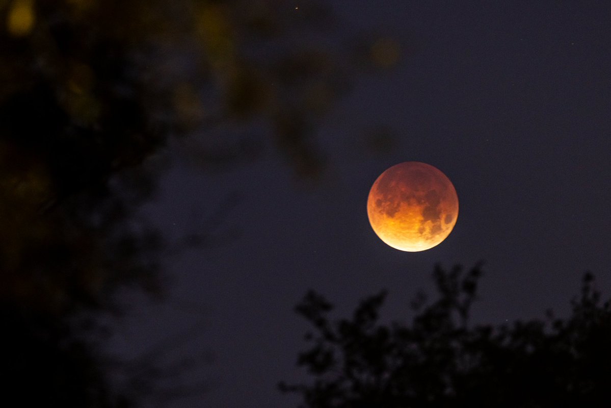 Gavin Richmond tweet media