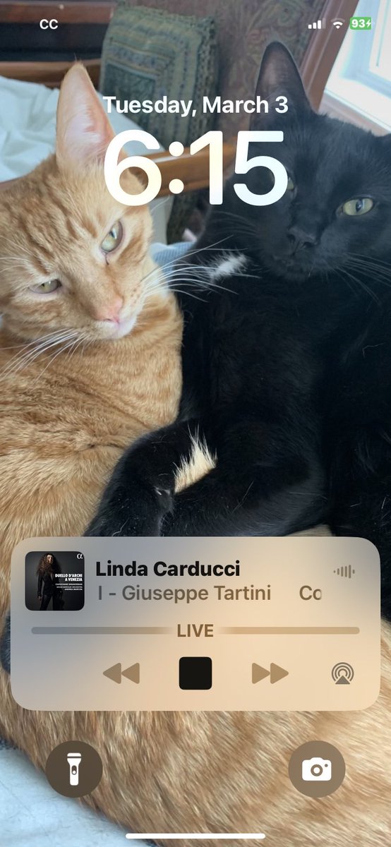 Richard J McCollough, M.Ed. tweet media