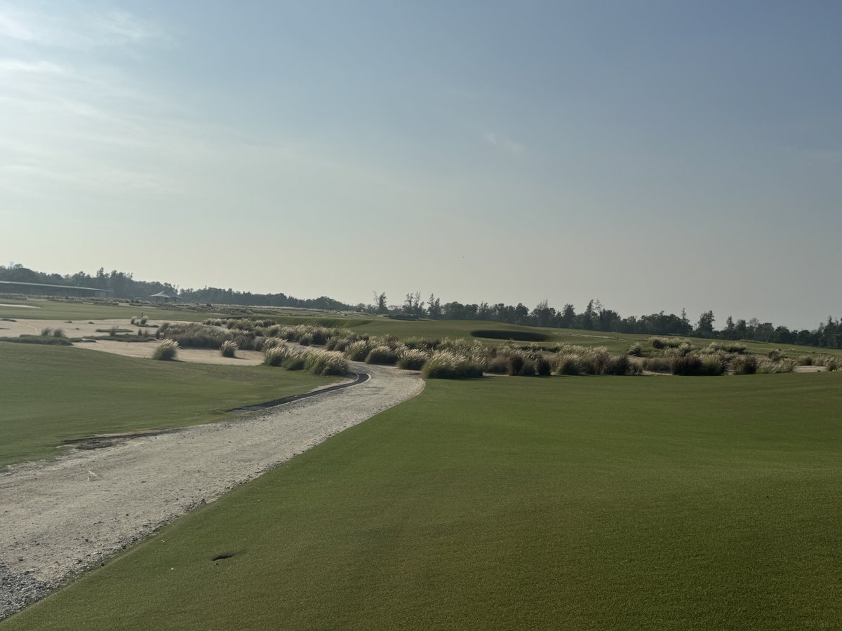 Rex Tattersall tweet media