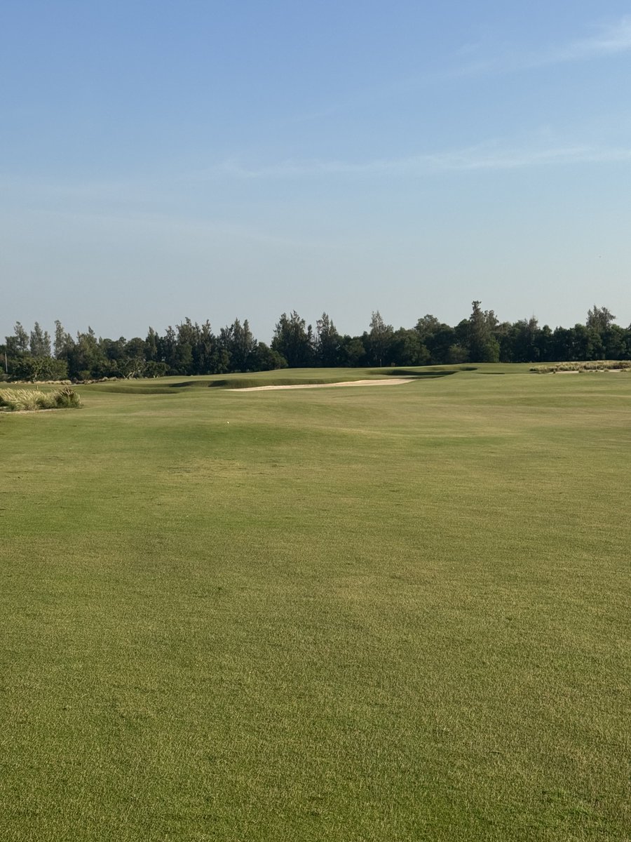 Rex Tattersall tweet media