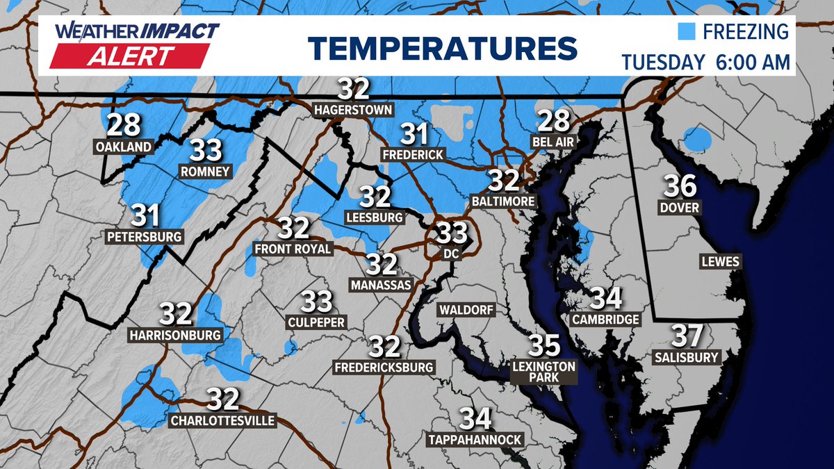 Kaitlyn McGrath tweet media