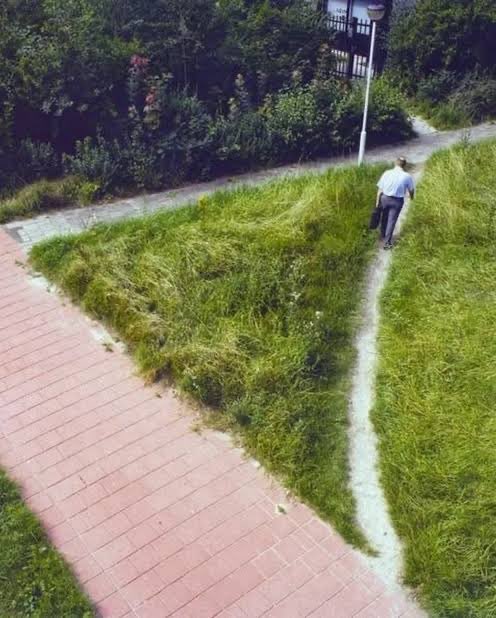 Pedro Pallotta - Space Orbit tweet media