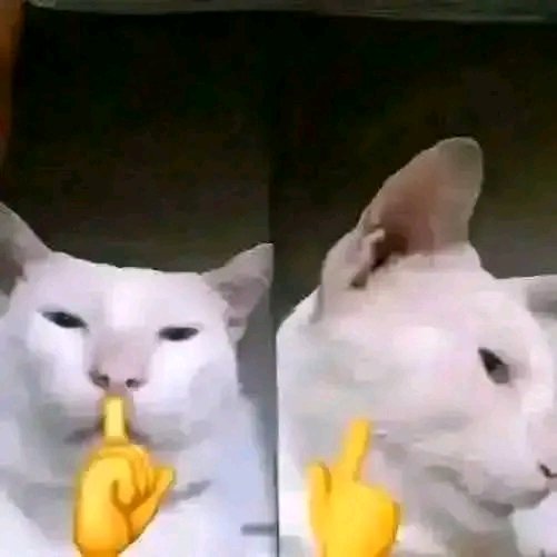 Squidward dan Ketenangan tweet media