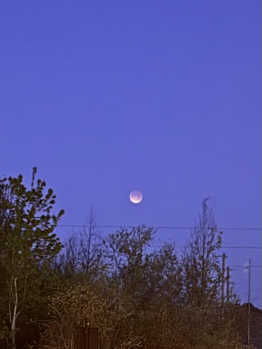 Vinceantolin's tweet photo. Lunar eclipse https://t.co/MlPoiyw36v