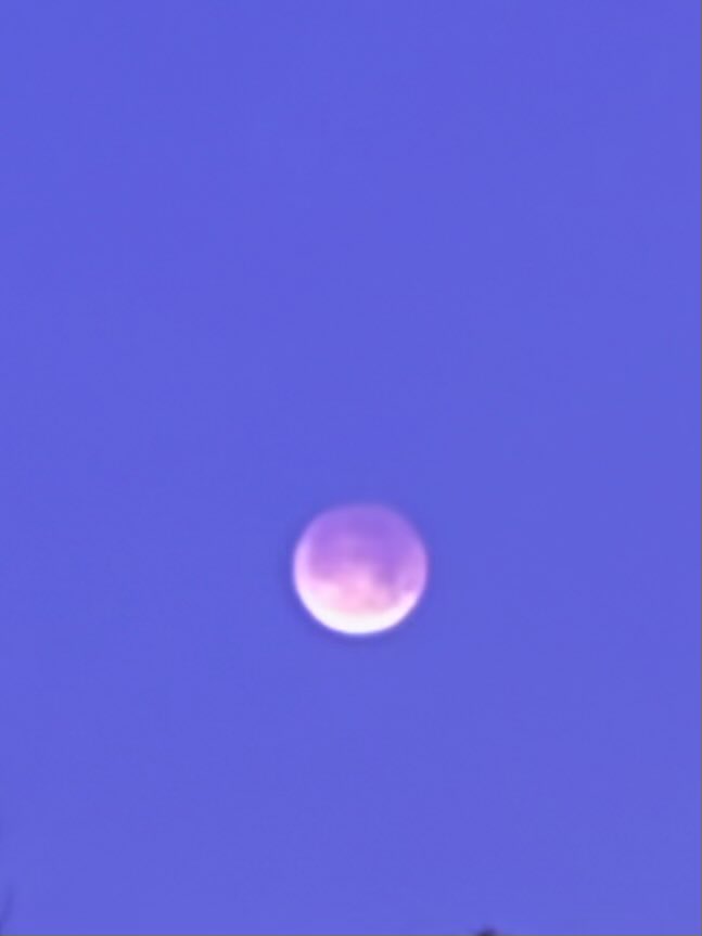 Vinceantolin's tweet photo. Lunar eclipse https://t.co/MlPoiyw36v